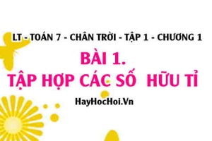 Khái niệm số hữu tỉ là gì, thứ tự và cách biểu diễn số hữu tỉ trên trục số? Toán 7 chân trời Tập 1 chương 1 Bài 1